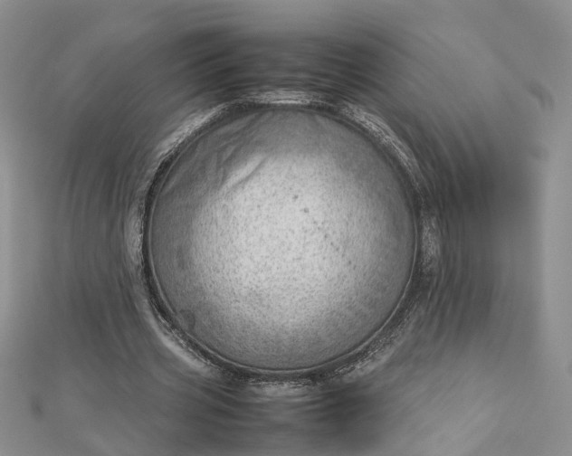 X0000112810533200909041456