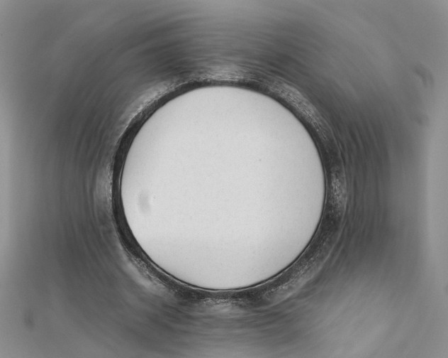 X0000112810534200909041456