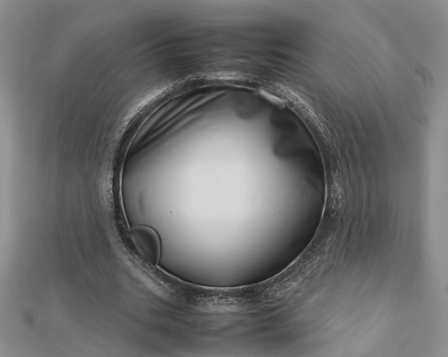 X0000112810535200909041456