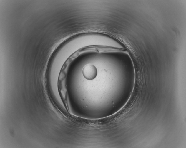 X0000112810536200909041456