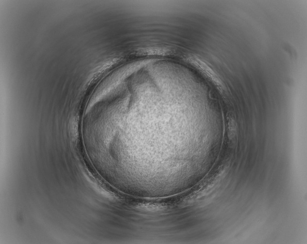 X0000112810537200909041456