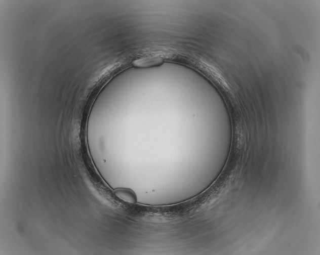 X0000112810538200909041456