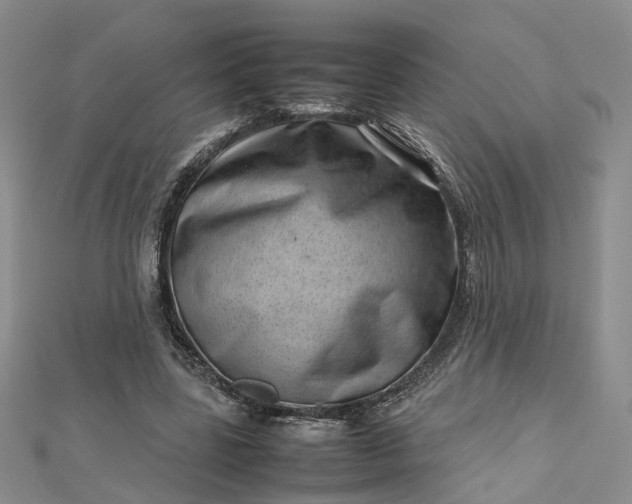 X0000112810539200909041456