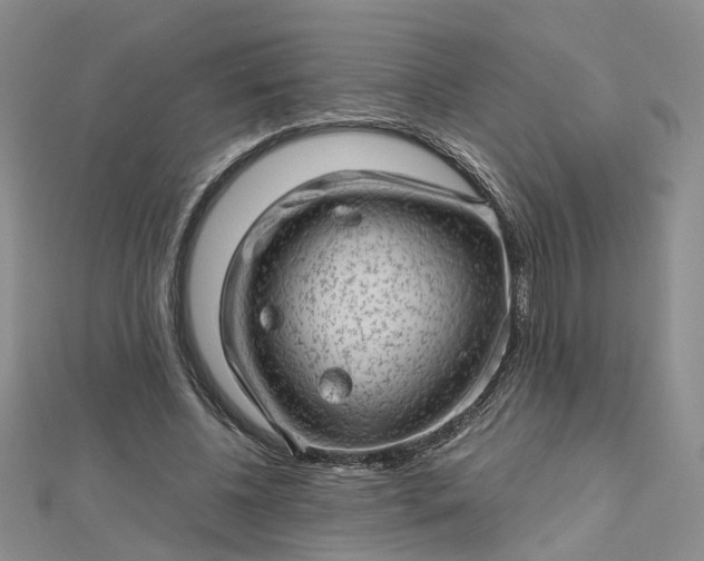 X0000112810540200909041456