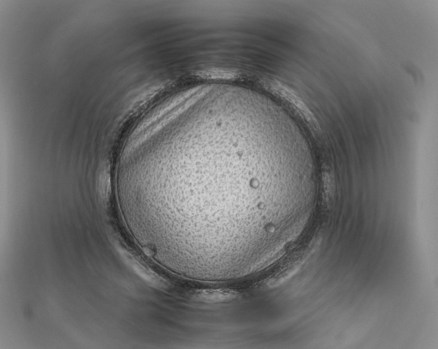 X0000112810541200909041456