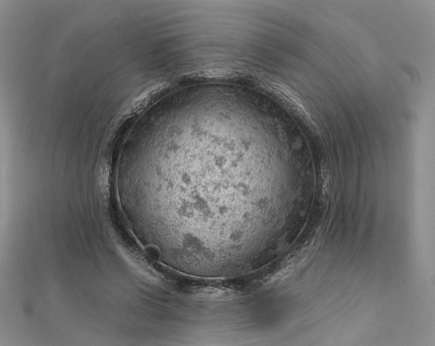 X0000112810542200909041456