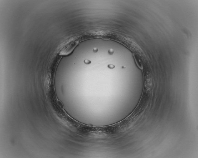 X0000112810544200909041456