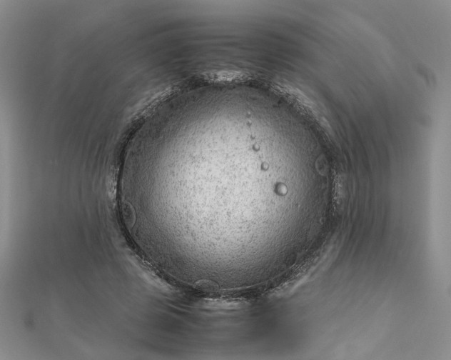 X0000112810545200909041456