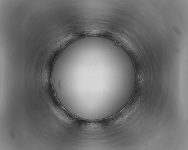 X0000112810546200909041456