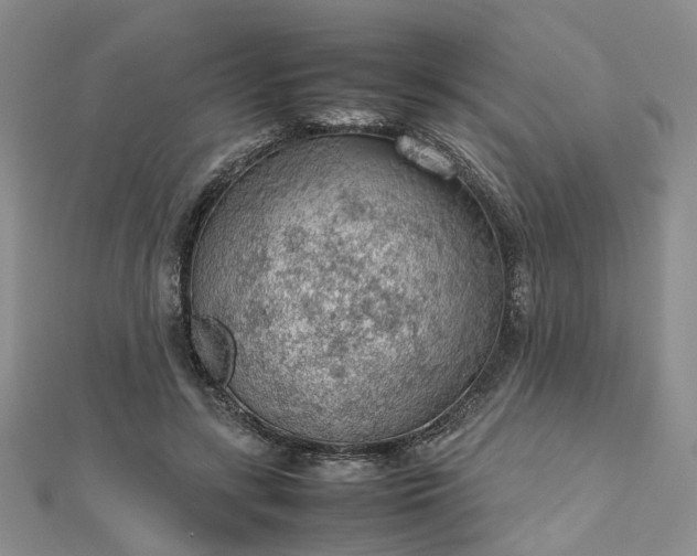 X0000112810547200909041456