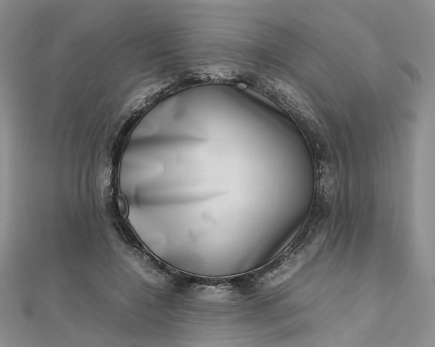 X0000112810548200909041456