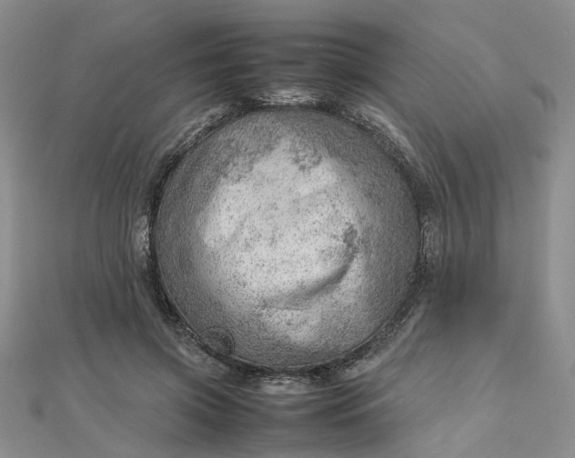 X0000112810549200909041456