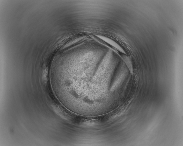 X0000112810550200909041456