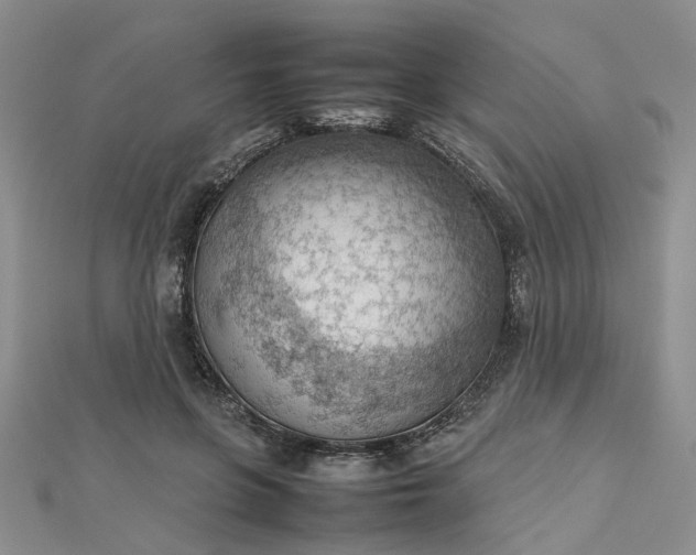 X0000112810551200909041456