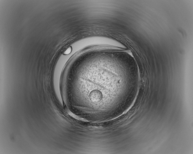 X0000112810552200909041456