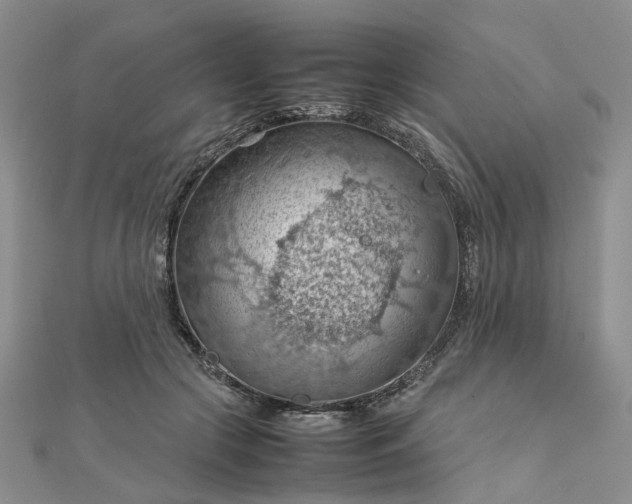 X0000112810553200909041456