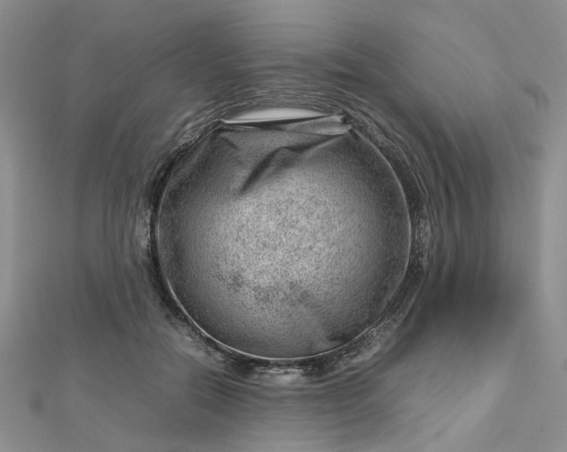 X0000112810554200909041456