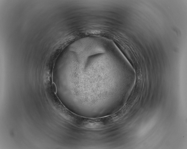 X0000112810555200909041456