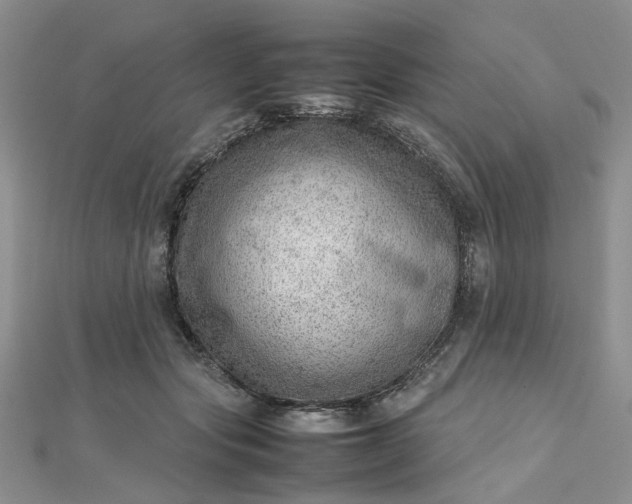 X0000112810557200909041456