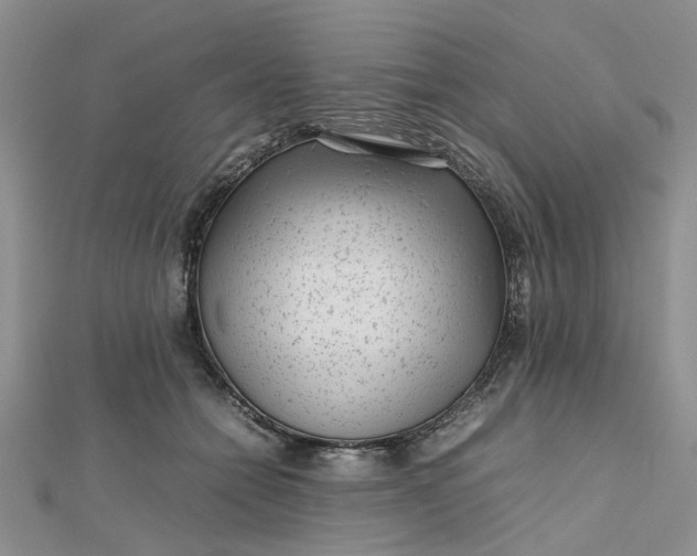 X0000112810558200909041456