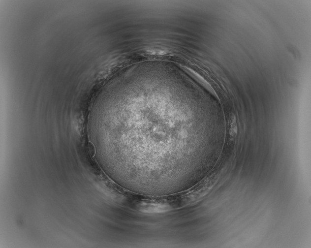 X0000112810559200909041456