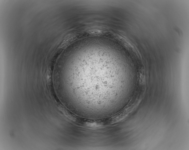 X0000112810561200909041456