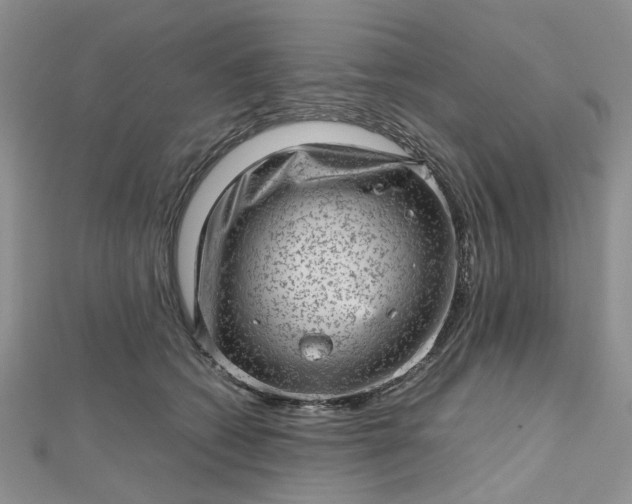 X0000112810562200909041456