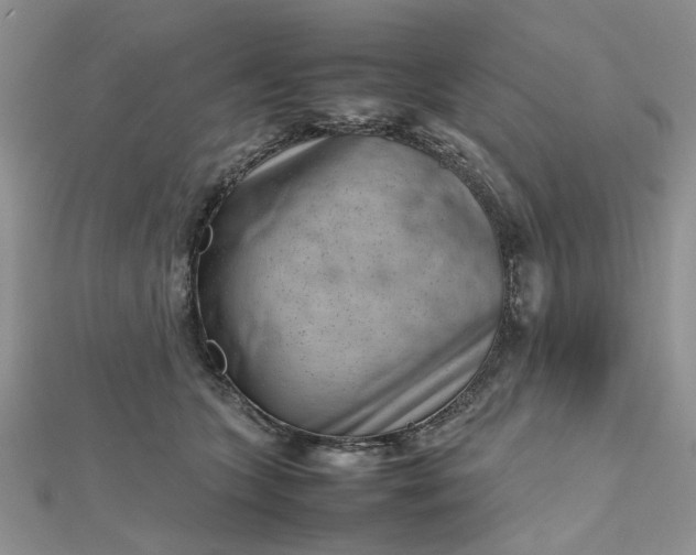 X0000112810563200909041456