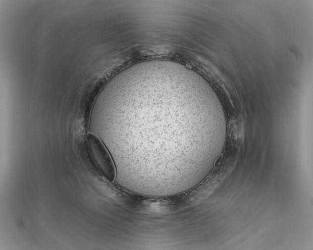 X0000112810564200909041456