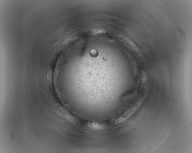 X0000112810565200909041456