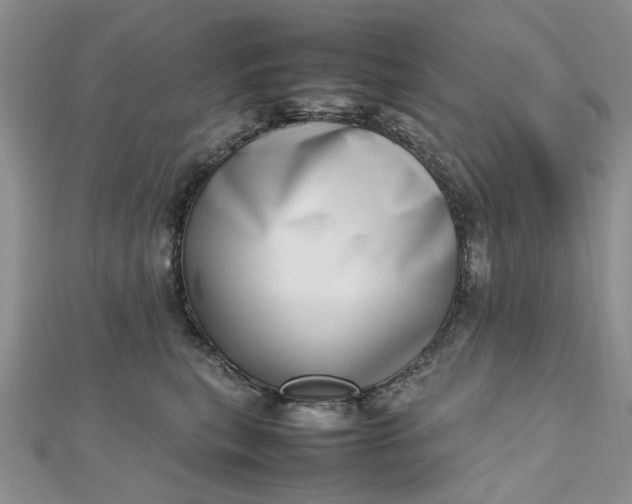 X0000112810567200909041456