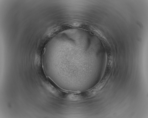 X0000112810568200909041456