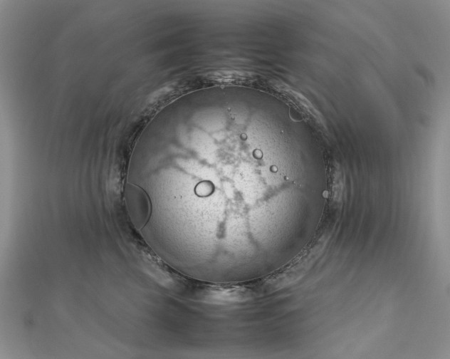 X0000112810569200909041456