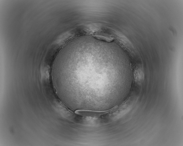 X0000112810570200909041456