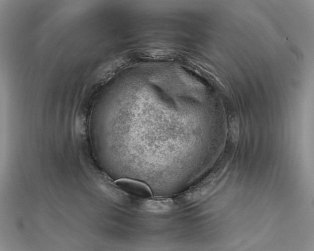 X0000112810571200909041456