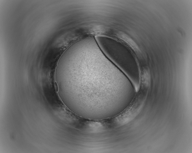 X0000112810572200909041456