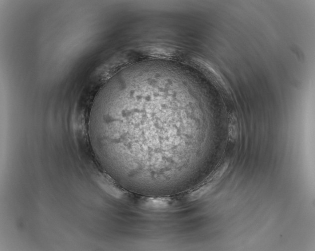 X0000112810573200909041456