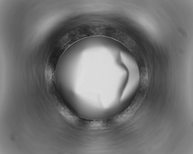 X0000112810574200909041456