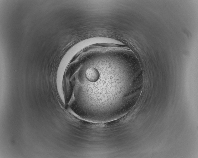 X0000112810576200909041456