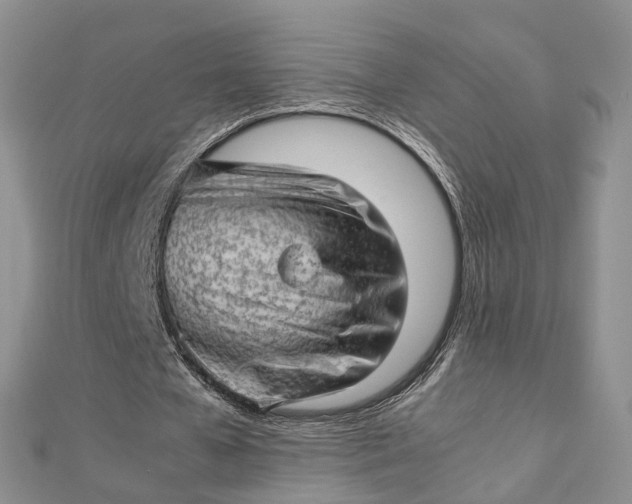 X0000112810577200909041456