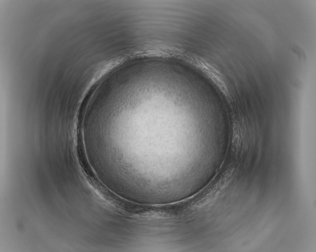 X0000112810578200909041456