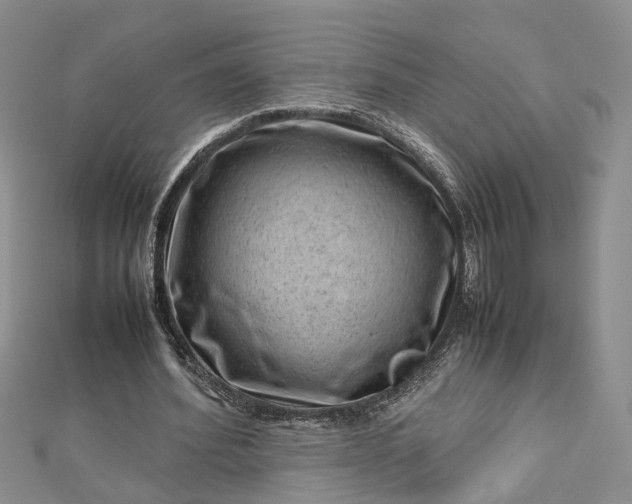 X0000112810580200909041456