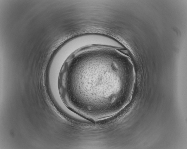 X0000112810581200909041456