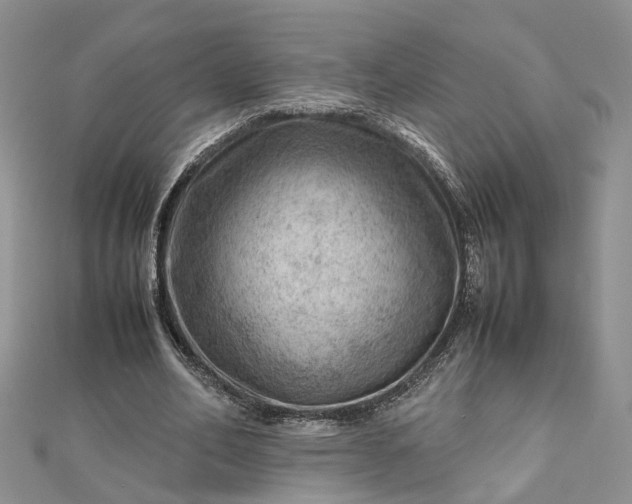 X0000112810582200909041456