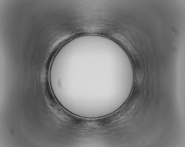 X0000112810583200909041456