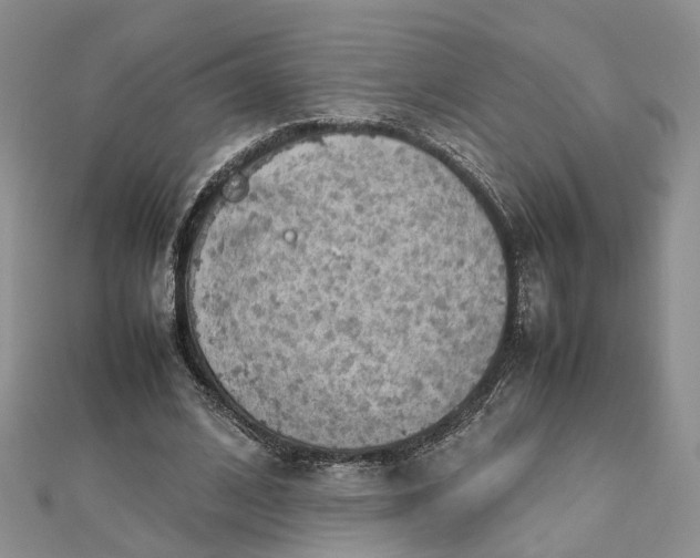 X0000112810584200909041456