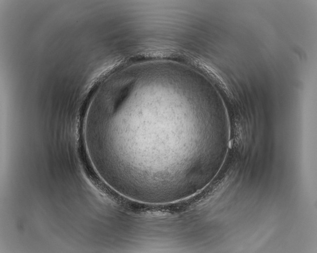 X0000112810586200909041456