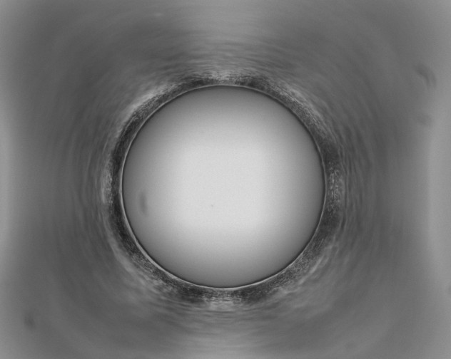 X0000112810587200909041456