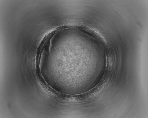 X0000112810588200909041456