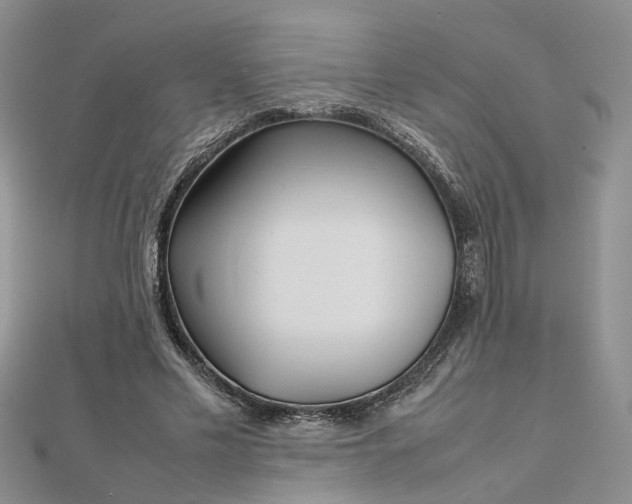 X0000112810589200909041456